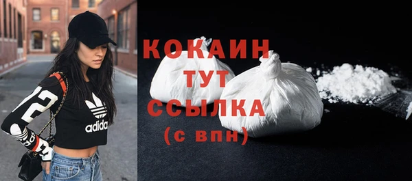 сатива Вяземский