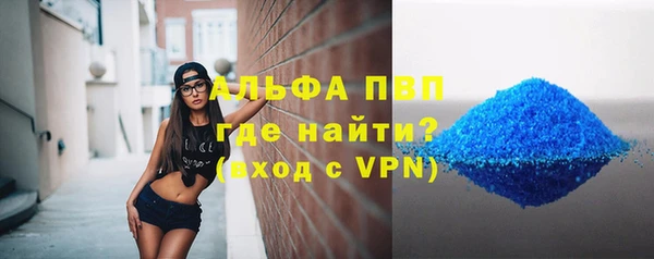 сатива Вяземский