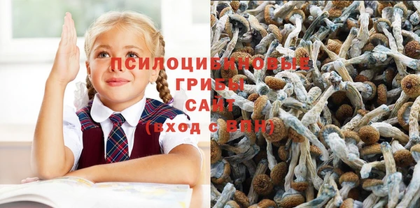 сатива Вяземский