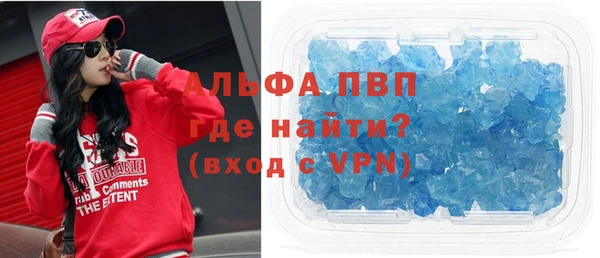 сатива Вяземский