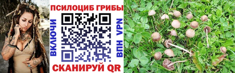 даркнет какой сайт  Березники  Галлюциногенные грибы Cubensis 